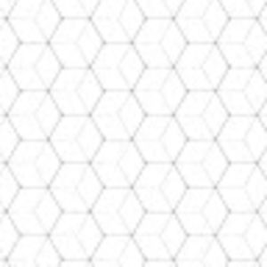 Meet your Posher, Sadie